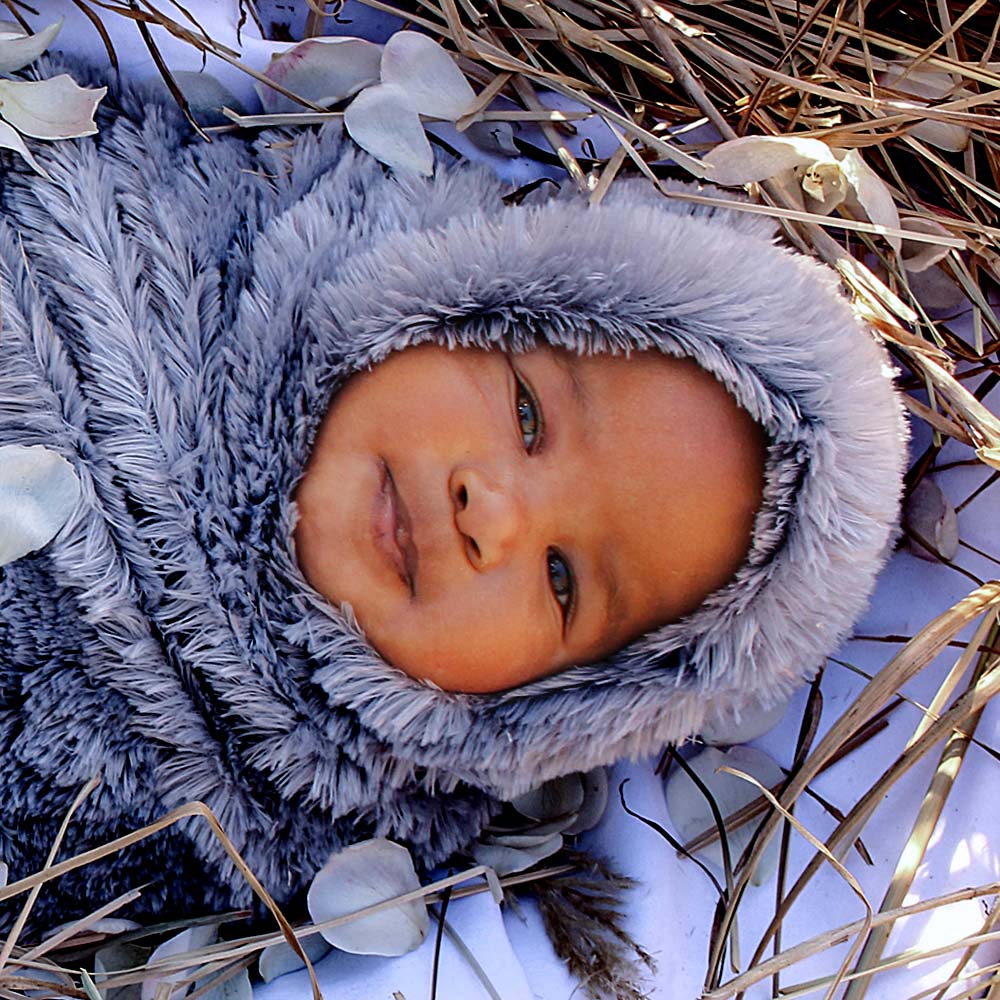 Baby Zano nest Photoshoot